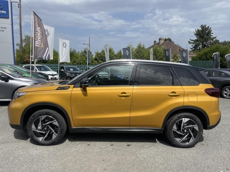 suzuki - Visuel 4