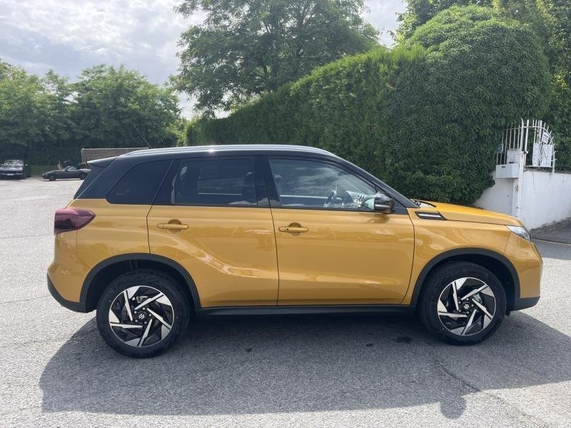 suzuki - Visuel 5